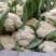 【有机花菜】【松花菜】色泽正，个头匀，品质好，现砍现发。