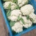 【有机花菜】【松花菜】色泽正，个头匀，品质好，现砍现发。