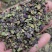 浮萍草浮萍紫背浮萍干货包邮量大从优一手货源