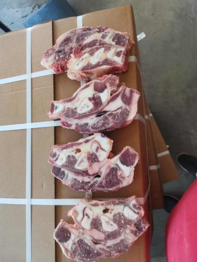 牛胸骨