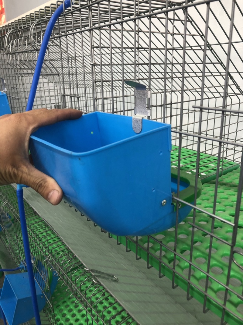 兔笼