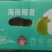 海南椰青椰子热销海南椰子长期有货原地直发量大