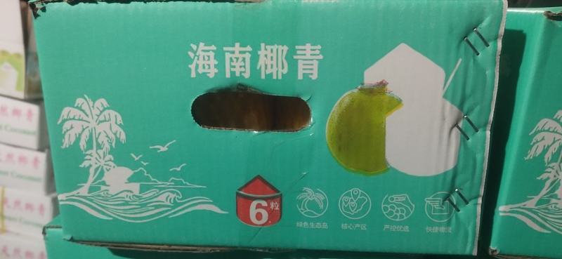 海南椰青椰子热销海南椰子长期有货原地直发量大