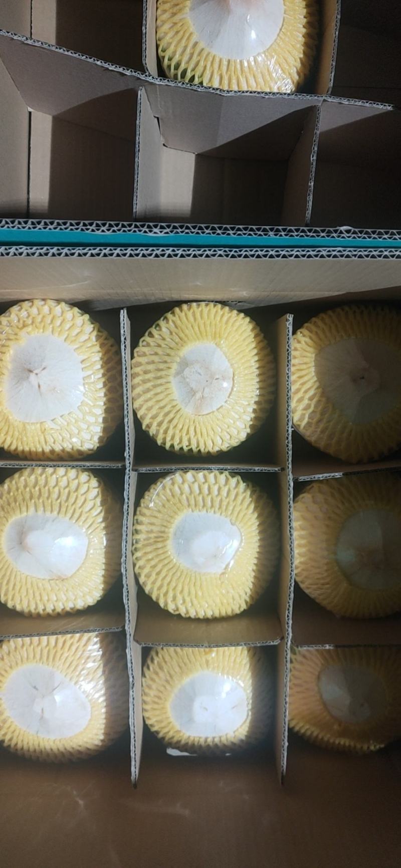 海南椰青椰子热销海南椰子长期有货原地直发量大