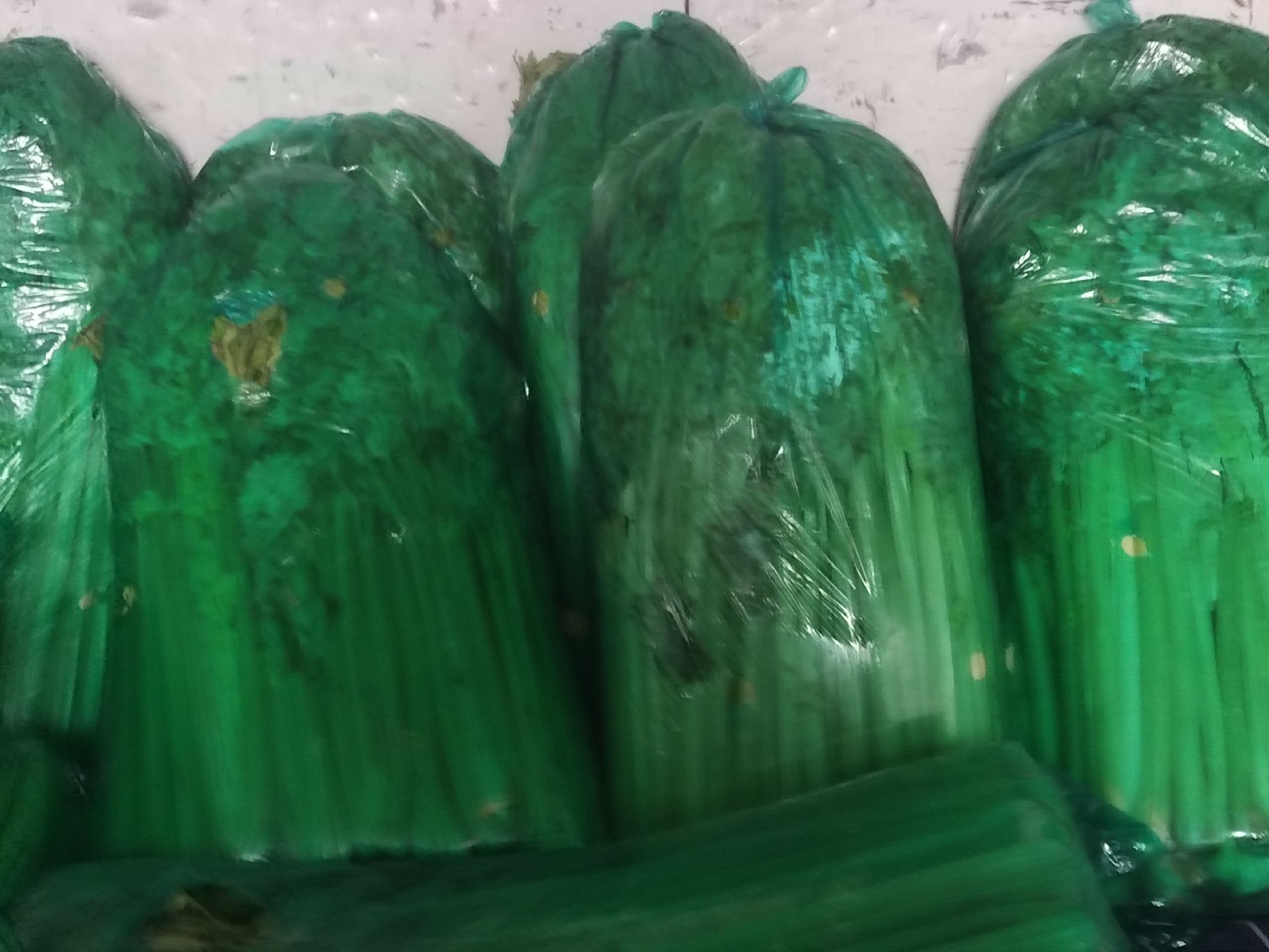 芹菜混合果汁成品图