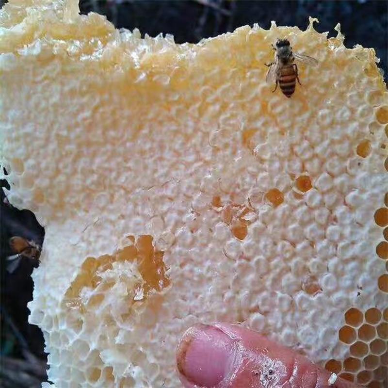 蜂蜜，蜂王浆，花粉，朋友家自己产，纯度60%，一件代发。