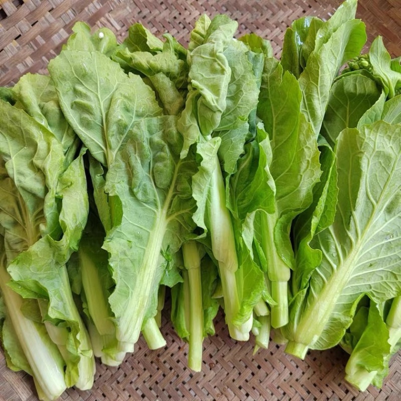 ［白菜苔］大量供应，价格实惠，产地直销欢迎咨询订购