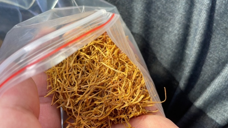 【精品】泰国，缅甸，莲须量大议价品质保证规格齐全