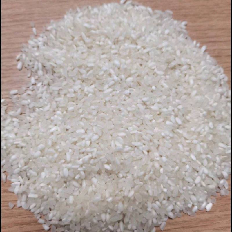 批发陈珍珠大米，