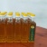 油茶果油茶籽油茶油山茶果山茶籽山茶油