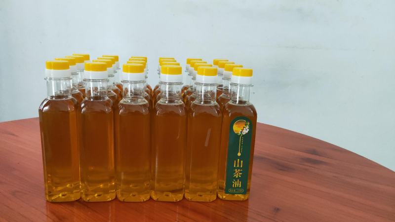 油茶果油茶籽油茶油山茶果山茶籽山茶油