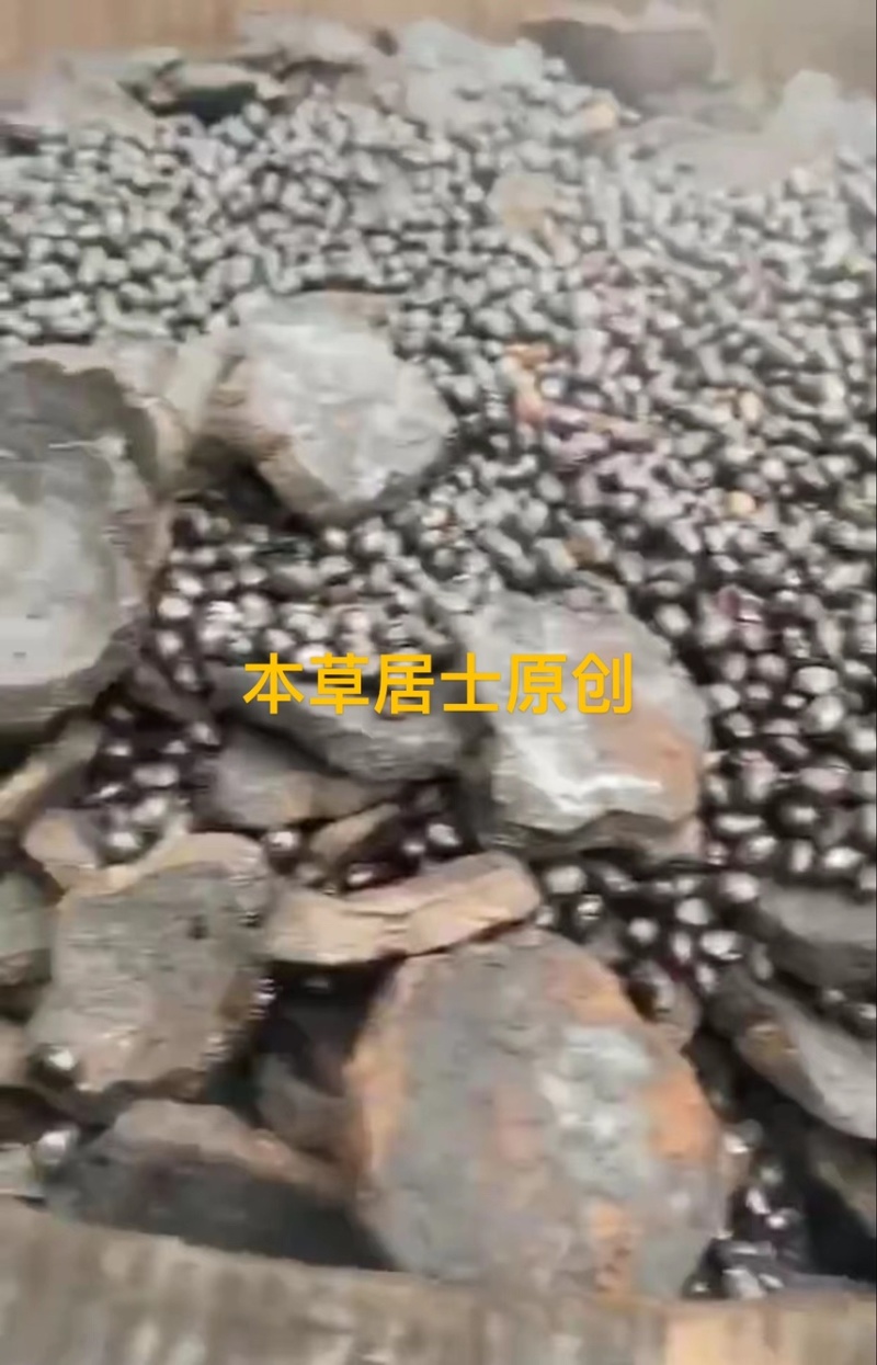 古法九蒸九晒高品质野生花心何首乌本地土黑豆制非转基因豆