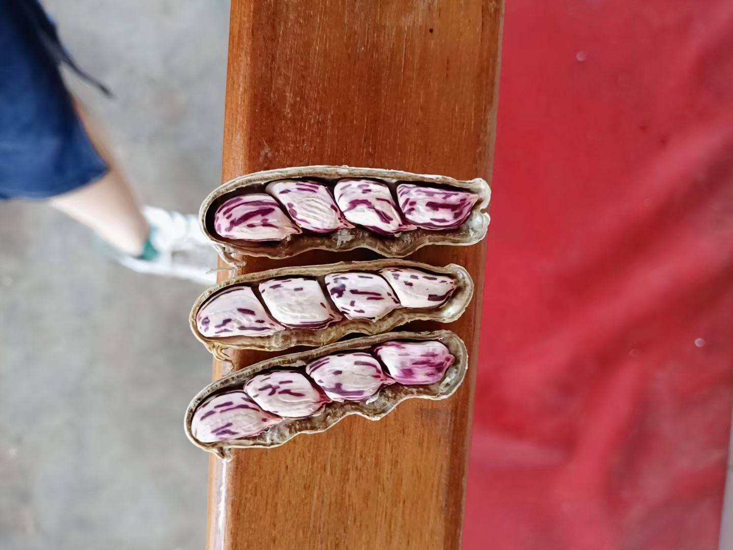 使用天平比较两组花生的重量 天平称重两组花生