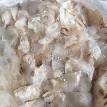 木蝴蝶千层纸量大议价可视频看货欢迎咨询下单