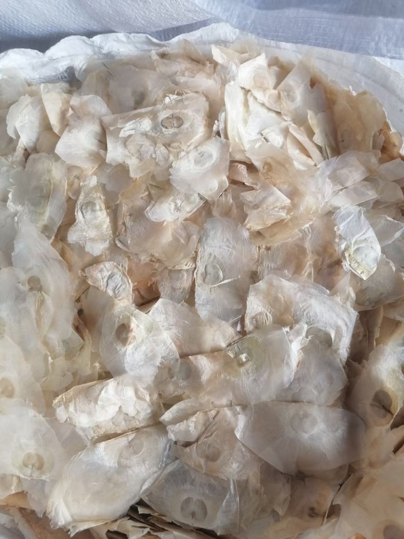 木蝴蝶千层纸量大议价可视频看货欢迎咨询下单