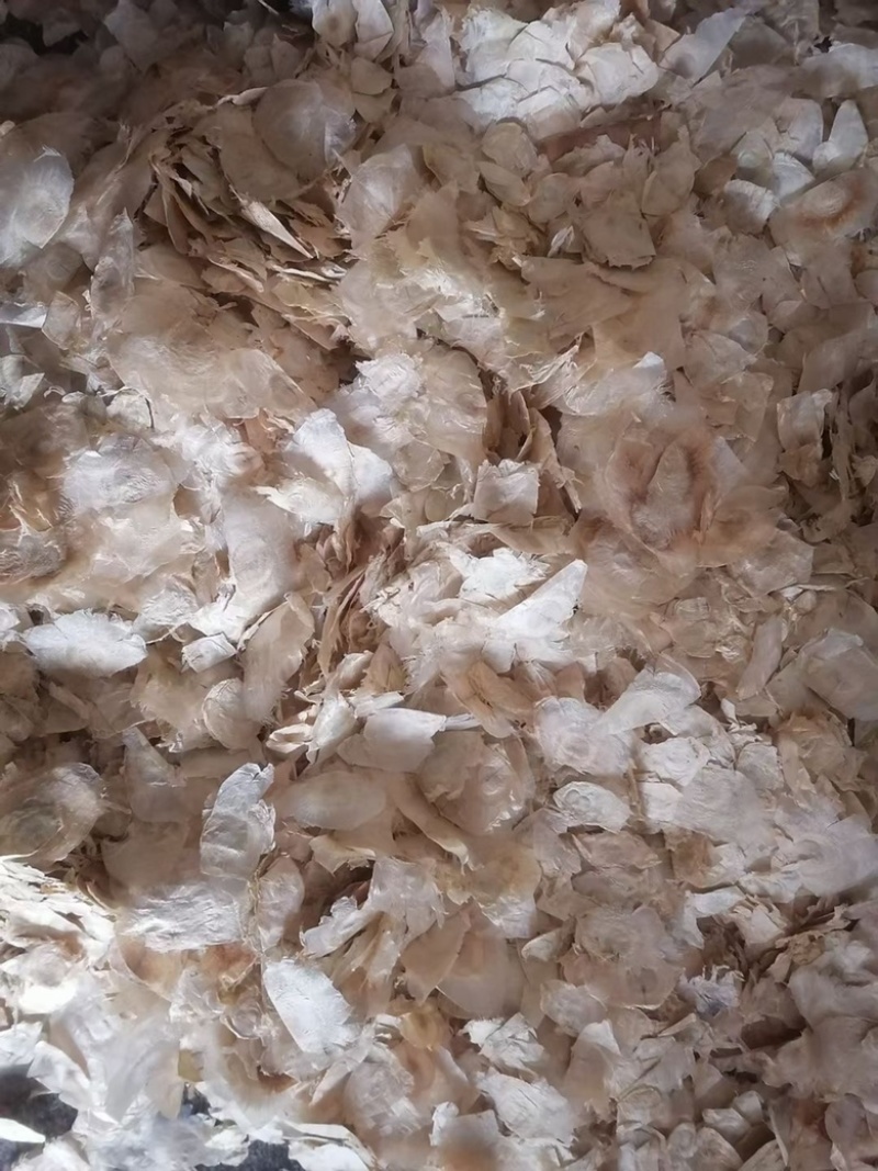 木蝴蝶千层纸量大议价可视频看货欢迎咨询下单