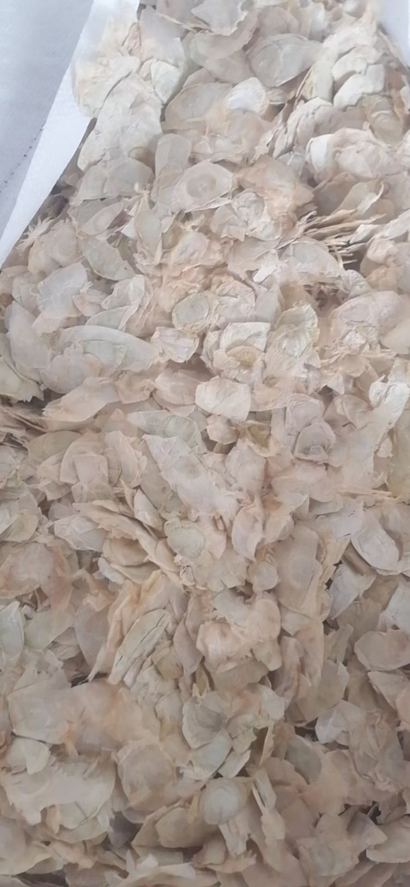 木蝴蝶千层纸量大议价可视频看货欢迎咨询下单