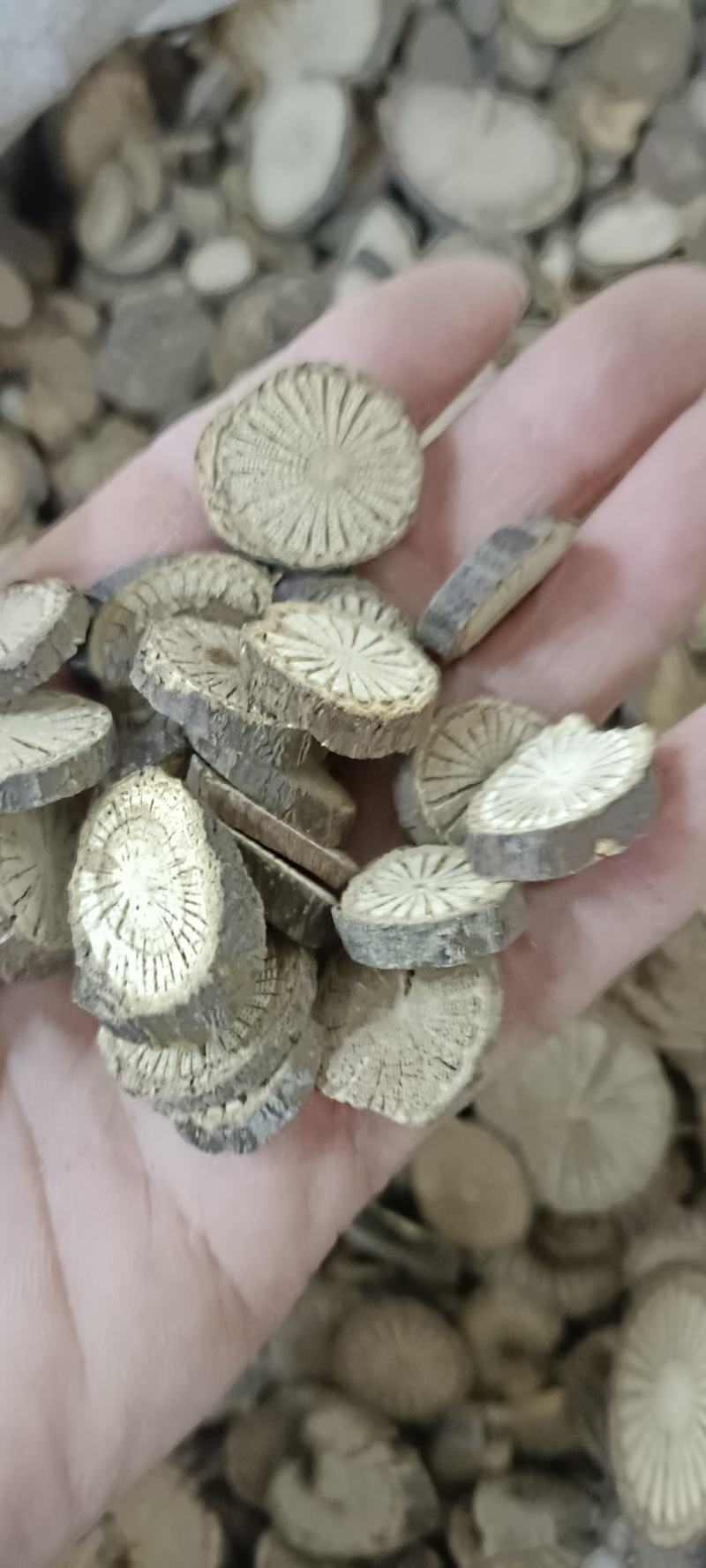青风藤，中药材批发，足斤足量，货干无硫，欢迎各位老板下单