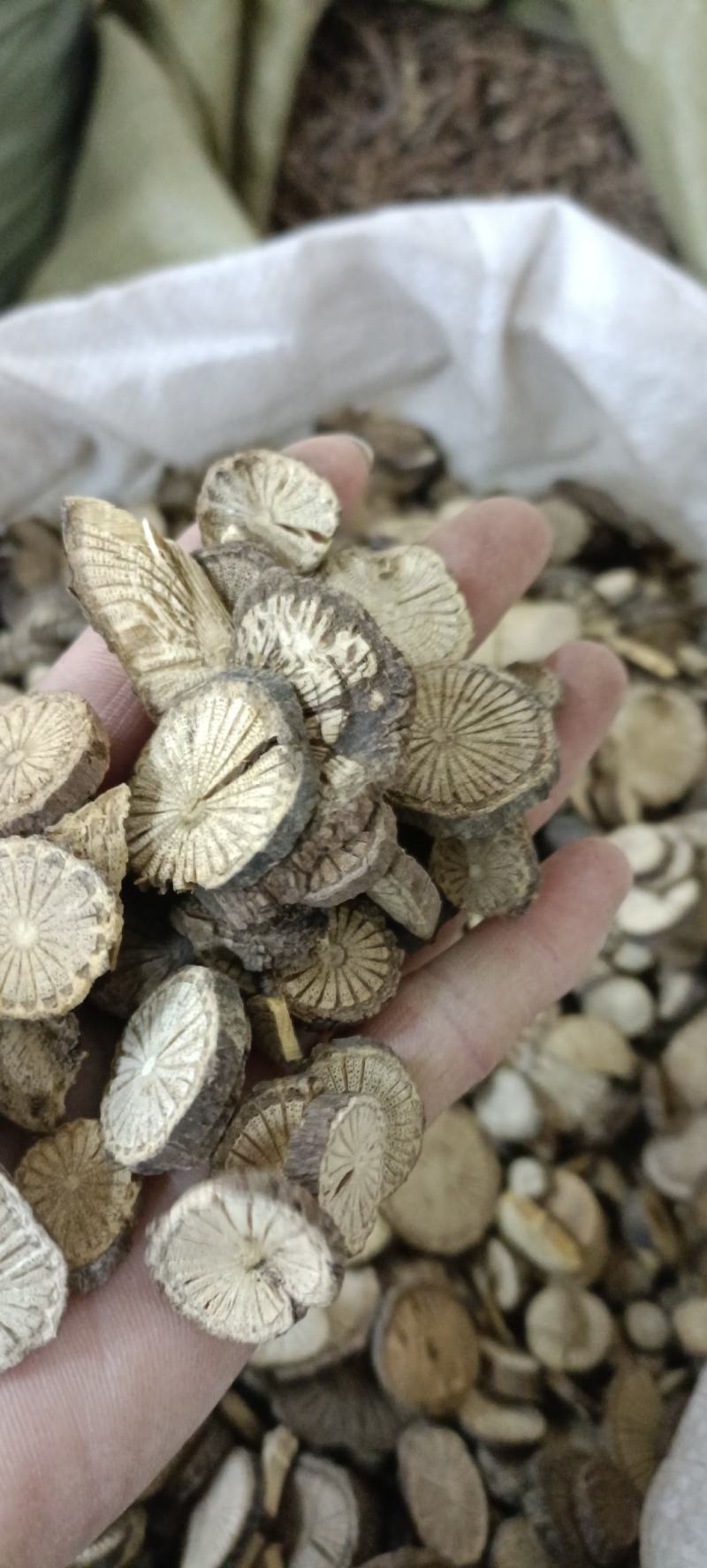 青风藤，中药材批发，足斤足量，货干无硫，欢迎各位老板下单