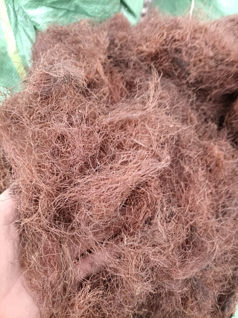 手选