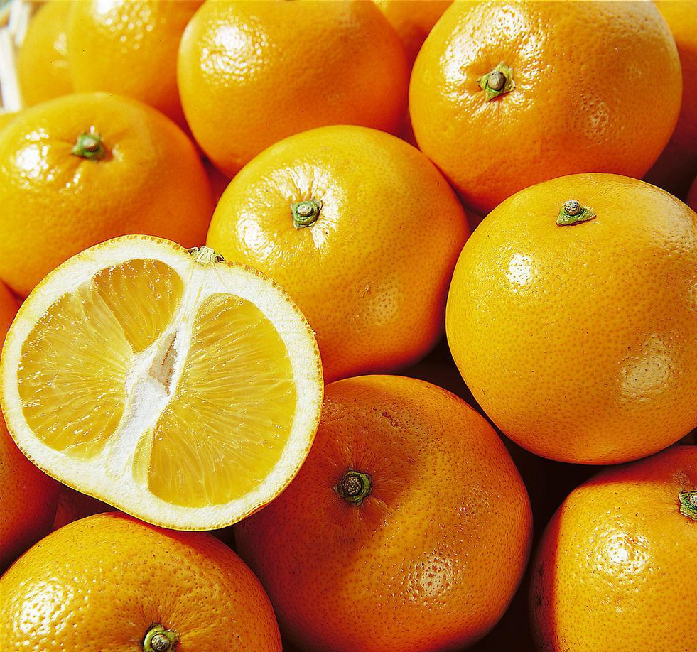 贡柑与梨、西瓜搭配果盘