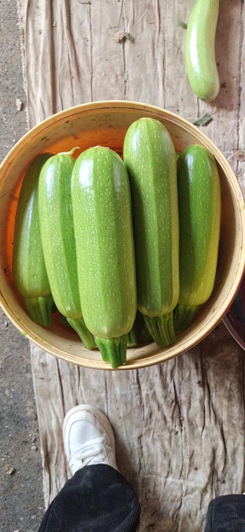 西葫芦，种植源头直采直供，大面积种植，满足各渠道需求