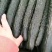 河北藁城黄瓜大量上市电商平台大量供货