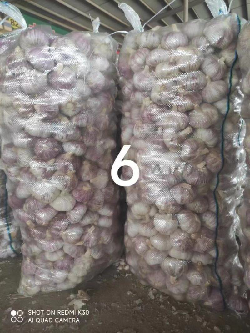金乡大蒜混级大蒜基地直发一手货源全国发货实力保证量大从优