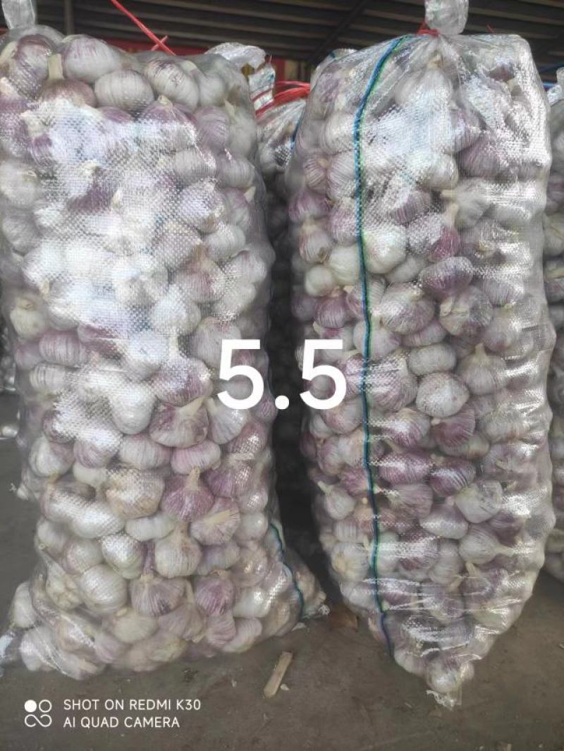 金乡大蒜混级大蒜基地直发一手货源全国发货实力保证量大从优
