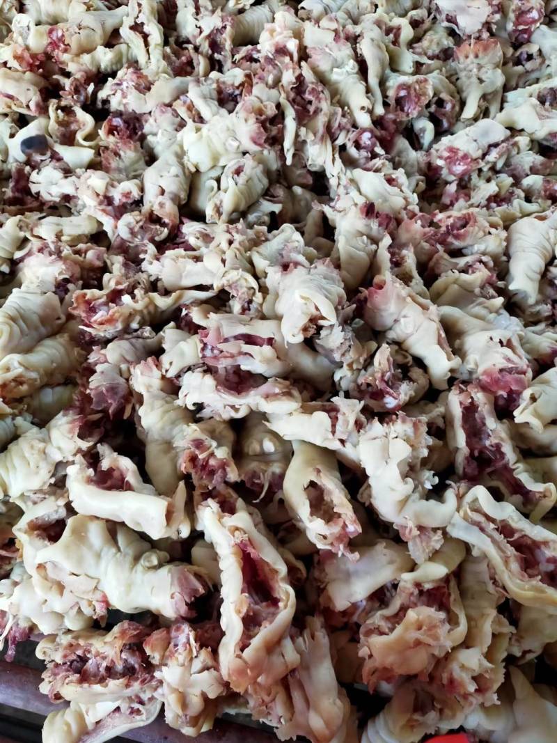 《精品》小牛头肉，小牛肚，小牛蹄，全套小牛杂，工厂货源