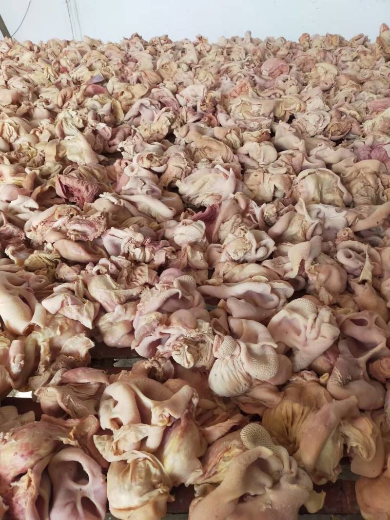 《精品》小牛头肉，小牛肚，小牛蹄，全套小牛杂，工厂货源