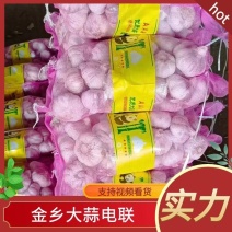金乡大蒜混级大蒜基地直发一手货源全国发货实力保证量大从优