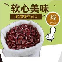 东北产地红小豆赤豆质量很好接受预订诚实守信一件到