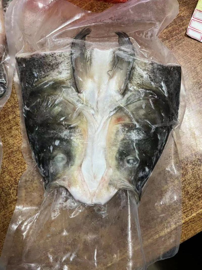 大鱼头
