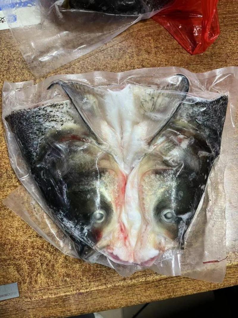 大鱼头