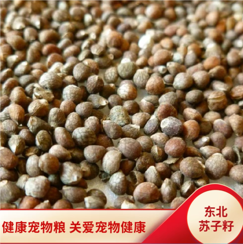 东北产地紫苏子可药用宠物粮食质量很好接受预订一件代发