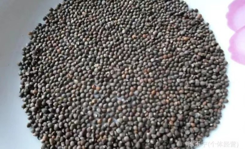 东北产地紫苏子可药用宠物粮食质量很好接受预订一件代发