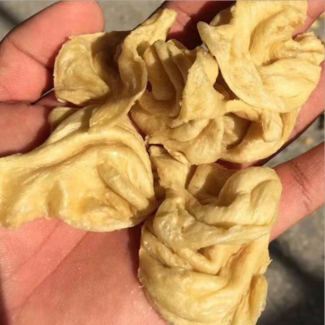 大豆耳素豆耳，豆鱼，鸡翅，牛排丝自家生产加工大量批发