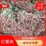 红薯苗商薯19产地直供，一手货源物美价廉，欢迎采购
