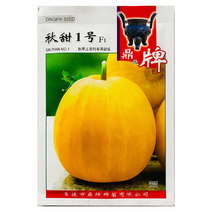 秋甜1号甜瓜种子黄皮清瓤甜瓜品种，种子