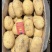 精品v7