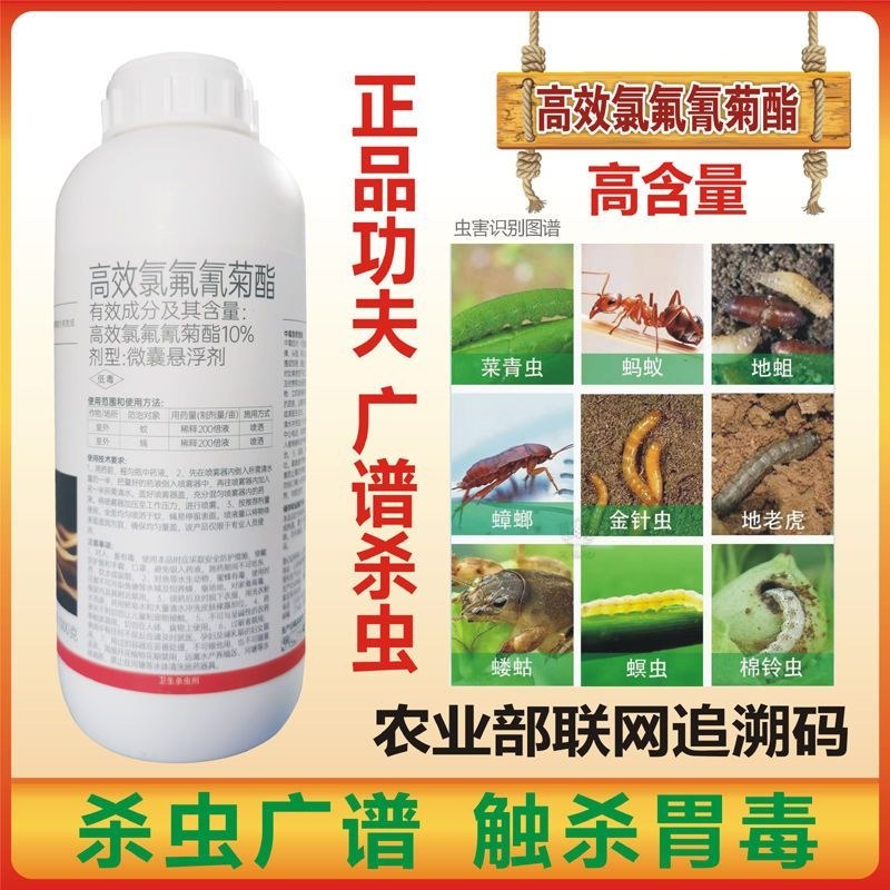 战弓10%功夫菊酯瓜针蜂药红火蚁地下害虫果实蝇农药杀虫剂