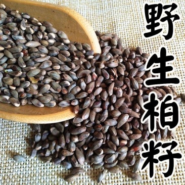 【优选】大量出售野生柏子优质柏玲柏子籽