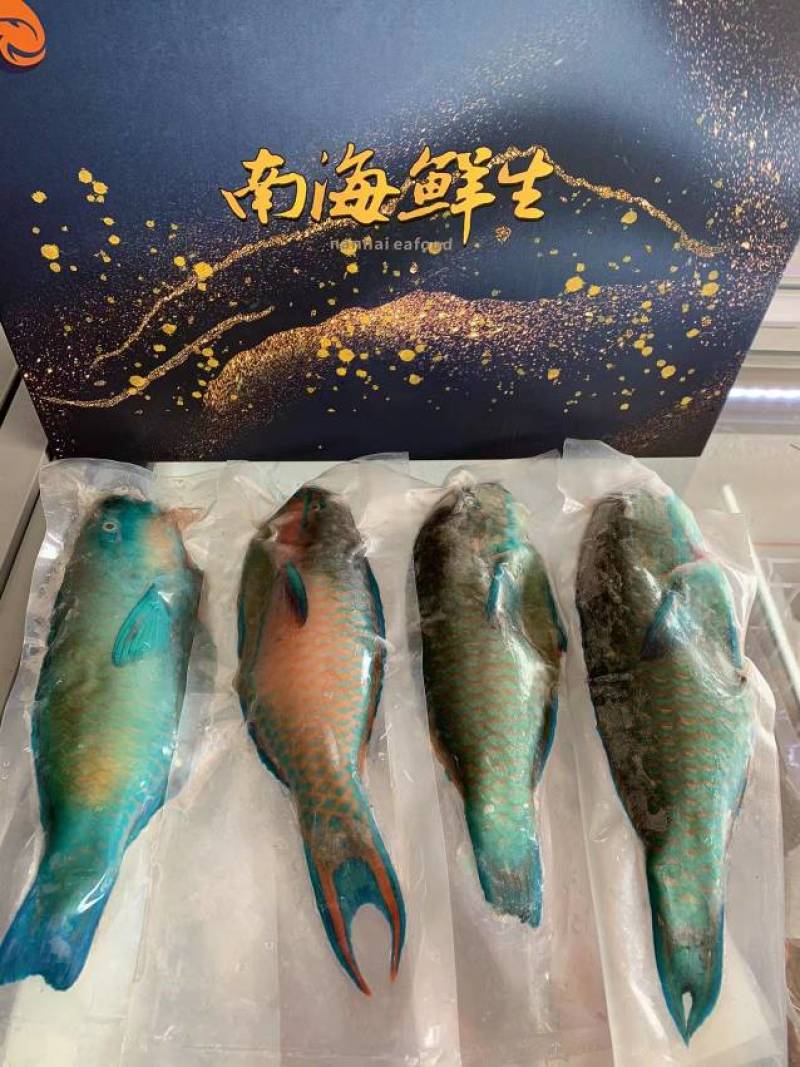 南海西沙野生海鱼