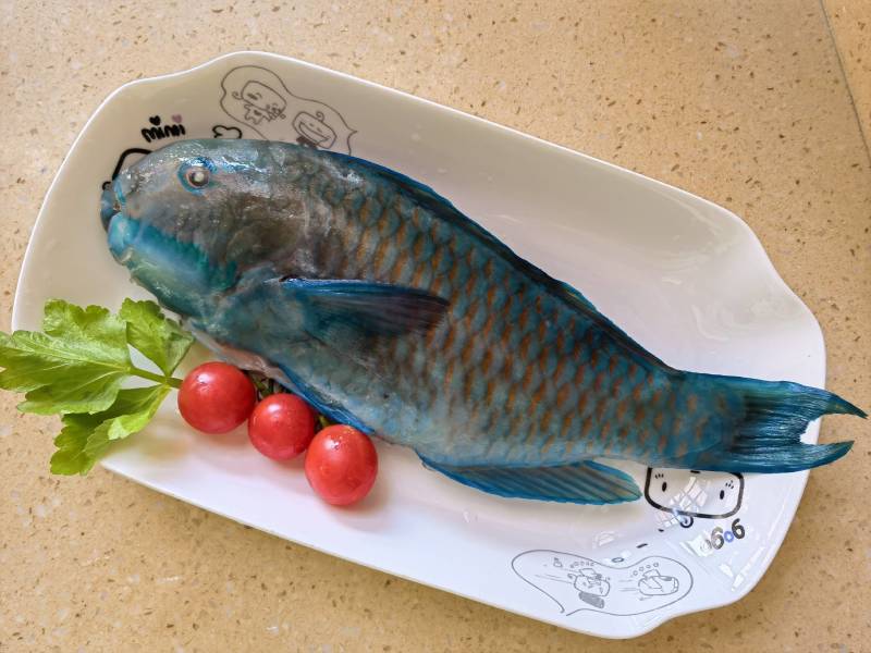 南海西沙野生海鱼