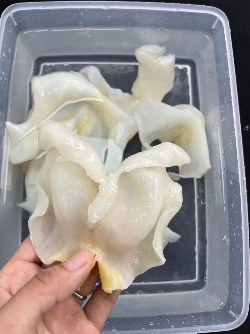 鸡泡胶花胶鱼胶干刺龟胶养宫备孕月子鱼胶增厚内膜调理子宫鱼肚