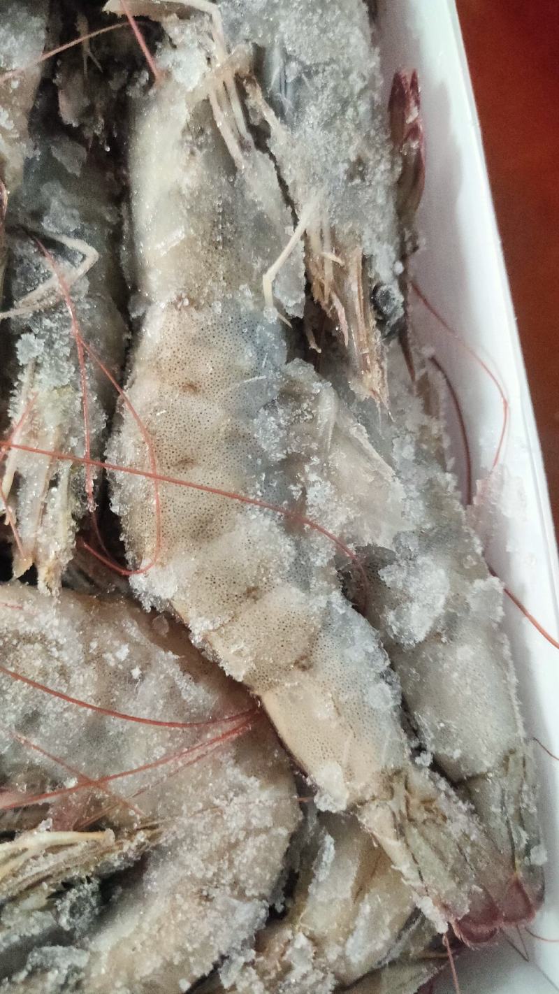 盐冻虾