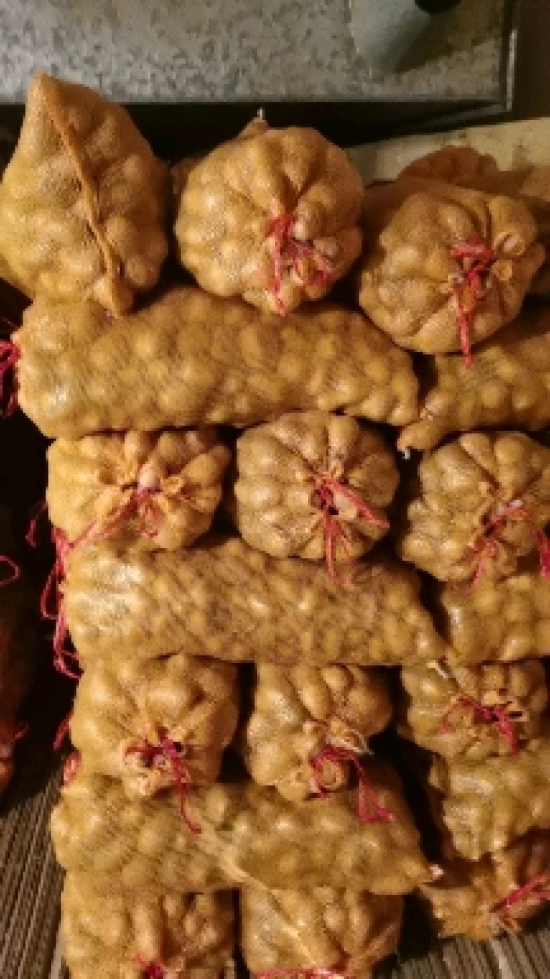优质脱毒土豆种，荷兰十五，V7希森沃土实验一大量现货