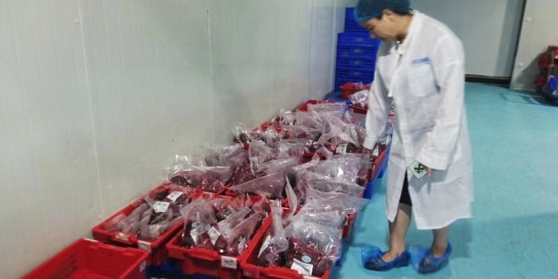 原头工厂直批，