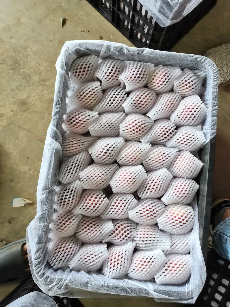 万亩红桃4月底大量上市，